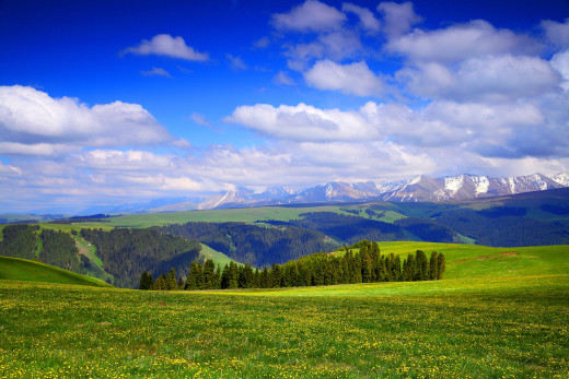 833793 (a): :2000x1333